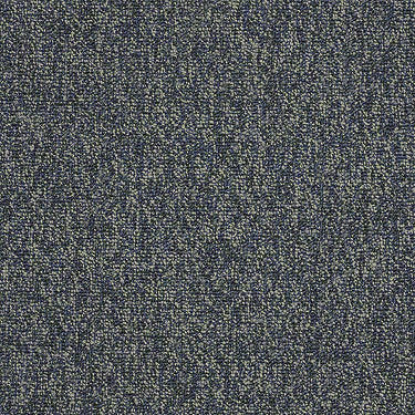 Multiplicity 24X24 Commercial Carpet