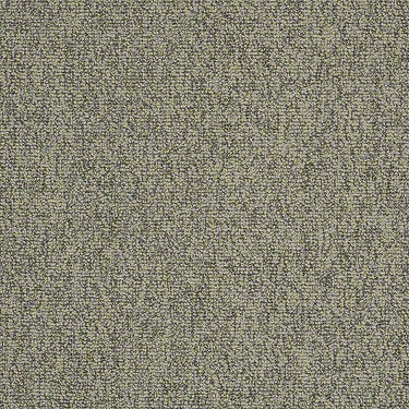 Multiplicity 24X24 Commercial Carpet