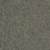 Multiplicity 24X24 Commercial Carpet