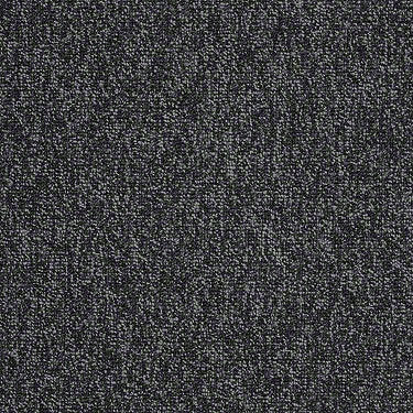 Multiplicity 24X24 Commercial Carpet