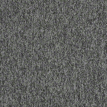 Multiplicity 24X24 Commercial Carpet