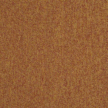 Multiplicity 24X24 Commercial Carpet