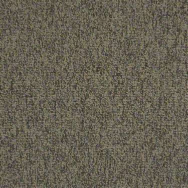 Multiplicity 24X24 Commercial Carpet