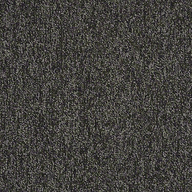 Multiplicity 24X24 Commercial Carpet