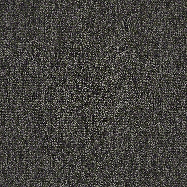 Multiplicity 24X24 Commercial Carpet