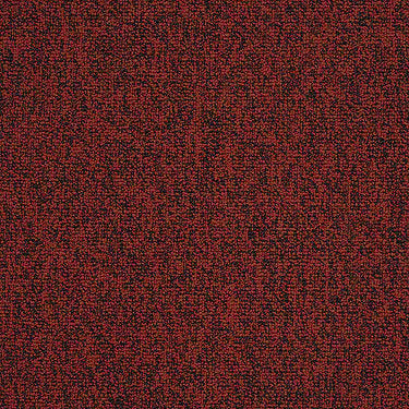 Multiplicity 24X24 Commercial Carpet