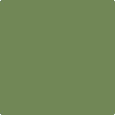 Benjamin Moore's paint color 546 Courtyard Green