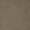 Scoreboard II 28 Residential Carpet