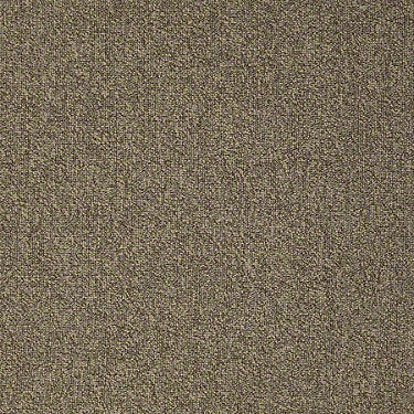Scoreboard II 28 Residential Carpet
