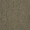 Scoreboard II 28 Residential Carpet