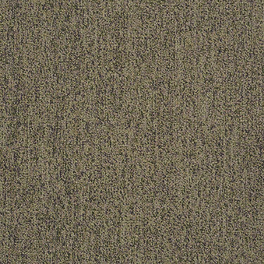 Scoreboard II 28 Residential Carpet