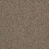 Scoreboard II 28 Residential Carpet