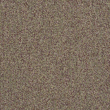 Scoreboard II 28 Residential Carpet