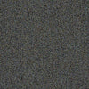 Scoreboard II 28 Residential Carpet