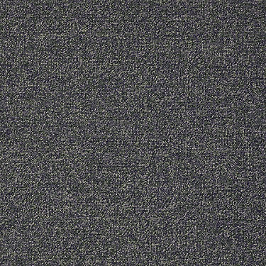 Scoreboard II 28 Residential Carpet