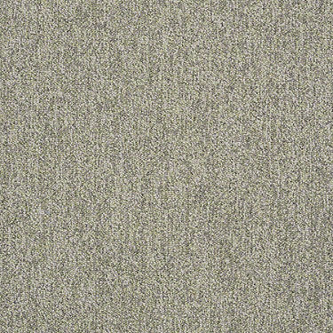 Scoreboard II 28 Residential Carpet
