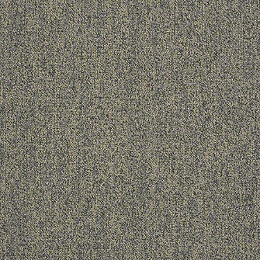 Scoreboard II 28 Residential Carpet