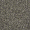 Scoreboard II 28 Residential Carpet