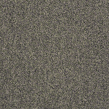 Scoreboard II 28 Residential Carpet