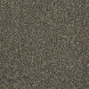 Scoreboard II 28 Residential Carpet