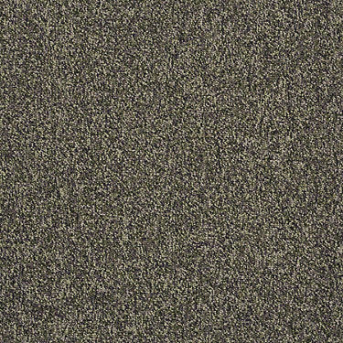 Scoreboard II 28 Residential Carpet