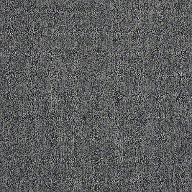 Scoreboard II 28 Residential Carpet