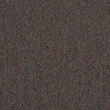Scoreboard II 28 Residential Carpet