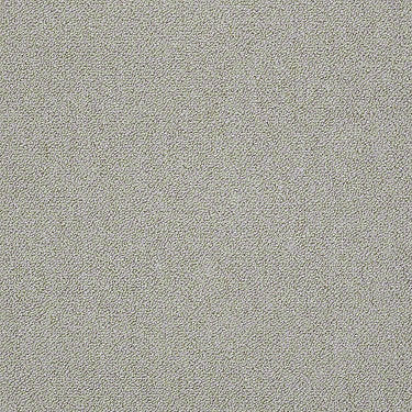 Counterpart Commercial Carpet