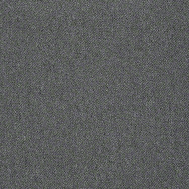 Counterpart Commercial Carpet