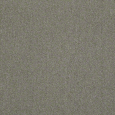 Counterpart Commercial Carpet
