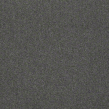 Counterpart Commercial Carpet