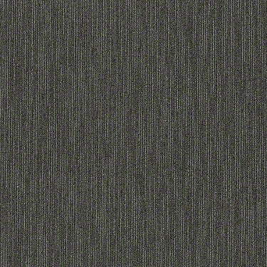 Flattery 24X24 Commercial Carpet