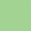Benjamin Moore's paint color 550 Paradise Green