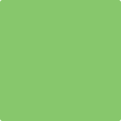 Benjamin Moore's paint color 558 Killala Green