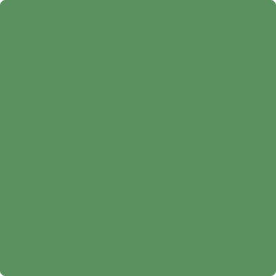 Benjamin Moore's paint color 566 Bunker Hill Green