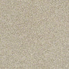 All About It Residential Carpet
