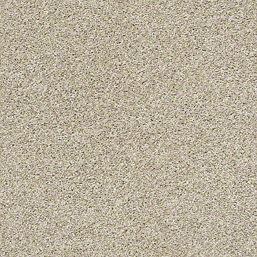 All About It Residential Carpet