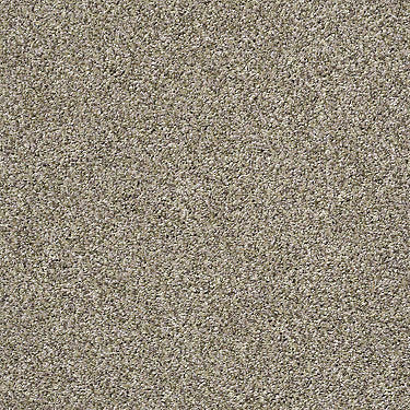 All About It Residential Carpet