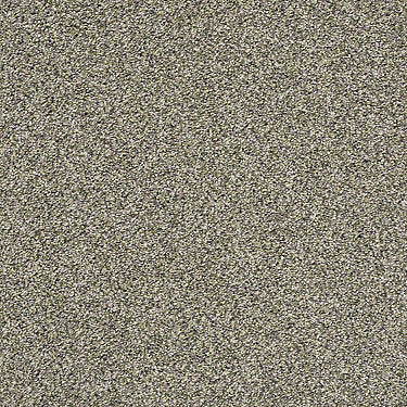 All About It Residential Carpet