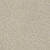 All About It Residential Carpet