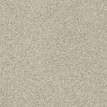All About It Residential Carpet