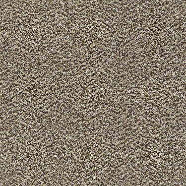 All About It Residential Carpet