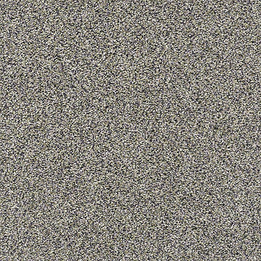 All About It Residential Carpet