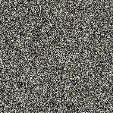 All About It Residential Carpet