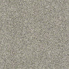 All About It Residential Carpet