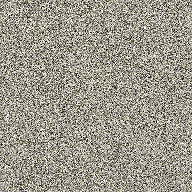 All About It Residential Carpet