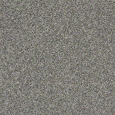 All About It Residential Carpet