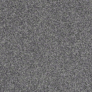 All About It Residential Carpet