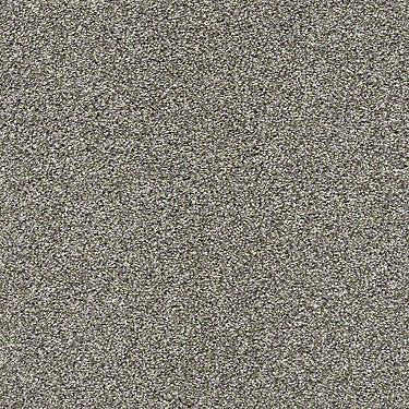 All About It Residential Carpet