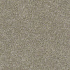All About It Residential Carpet